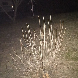 only getting better (prod. Vessels)