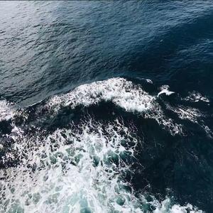 给你机会不中用