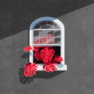 just a window (slowed & reverb)
