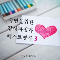 보로딘 - 작은 모음곡 - 소야곡 (숙면 자장가)