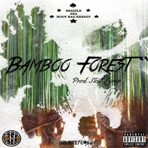 Bamboo Forest