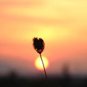 红色高跟鞋_吉他版