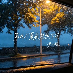 第九个夏夜忽然下雨