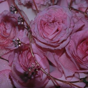 何止春花