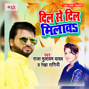 Dil Dil Se Milawa