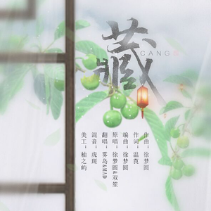 藏（翻自 徐梦圆/双笙）