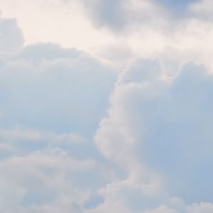 三毛的愉快经历