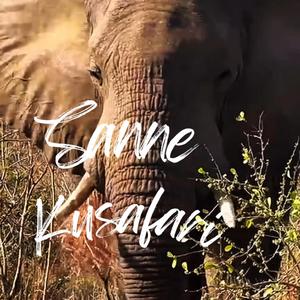 Kusafari