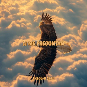 SI ME PREGUNTAN