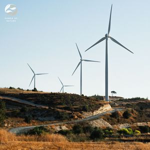 Waves Crashing on the Shore