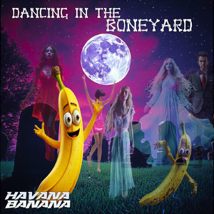 Getting Down in Funky Town