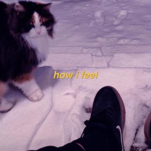 how i feel (feat. MOONSIGHT)