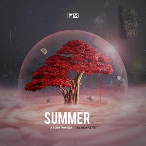 Calvin Harris-Summer - Atom Panda & BlackFire Remix（柳李 Atom Panda / BLACKFIRE remix）