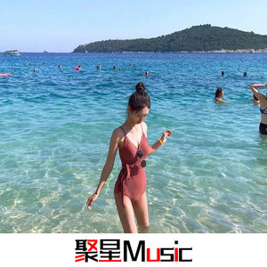 金包银(DJ弹鼓版)