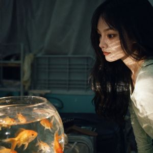 花开-整曲