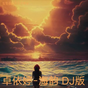 邓丽君-海韵 (DJ版)（发发我的天空 / 卓依婷 remix）