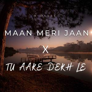 Maan Meri Jaan X Tu Aake Dekh Le