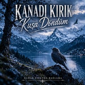 Kanadı Kırık Kuşa Döndüm (Sazlı Arabesk)