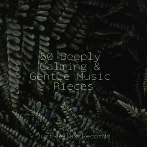 Echoes in the Lonely Field