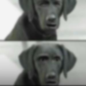 Bread And Bitches (feat. Sicca)