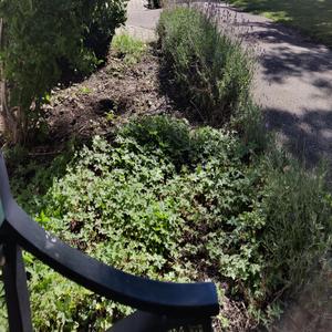 Maschere (Fin da bambina)