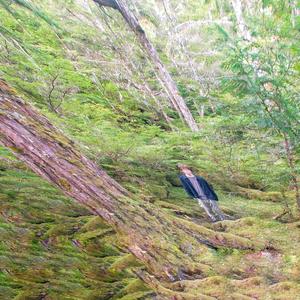 MYHUMPSMYHUMPSMYHUMPS