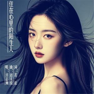 A stranger living in my heart住在心里的陌生人 (英文版)