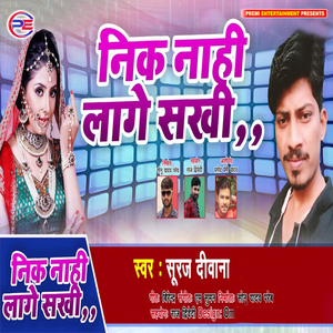 Nik Nahi Lage Sakhi
