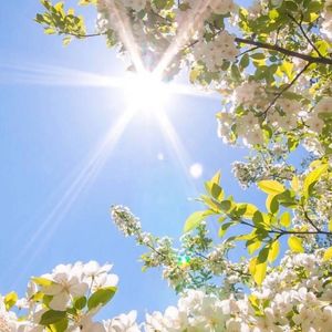 去年夏天（温柔男声版）（翻自 王大毛）