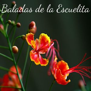 Baladas de la Escuelita
