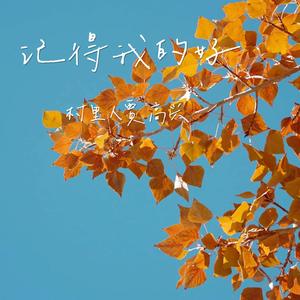 记得我的好