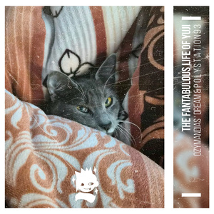 The fantabulous life of Yuji