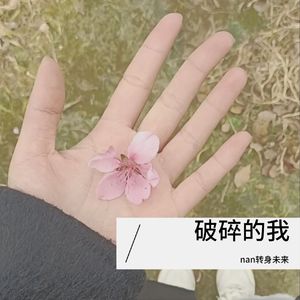 破碎的我