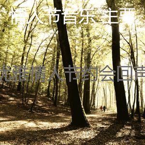 优美鲜花花束器乐