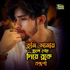 তুমি আমায় ভুলে গেছো দিয়ে বুকে যন্ত্রনা