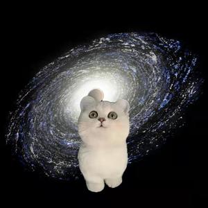 小猫咪坏心眼多着呢