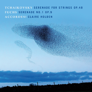 Serenade for Strings, Op. 48: III. Elegia. Larghetto elegiaco