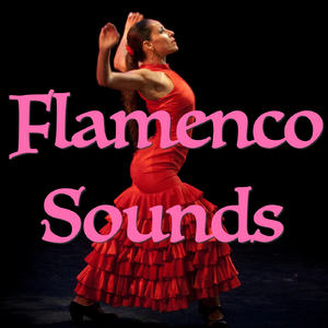 Belingonero Flamenco