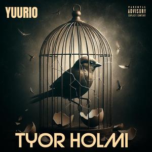 TYOR HOLMI