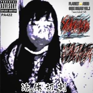 寄生虫导致的突发性全身皮肤慢性溃疡(Feat.x10bb)