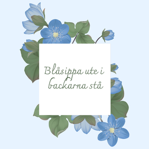 Blåsippan ute i backarna stå