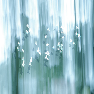 水旅（有语音版）