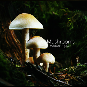 Mushrooms (Instrumental Version)