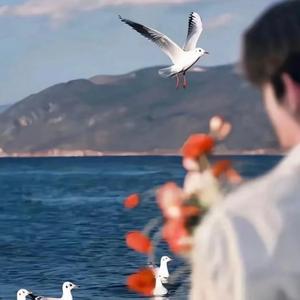 天亮以前说再见 (DJ版)