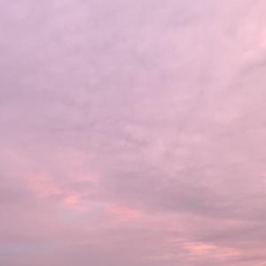 在摇曳的花丛中感受你的洗发香（翻自 SAya）（翻自 张凡俊）