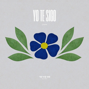 Yo Te Sigo (Extended Mix)