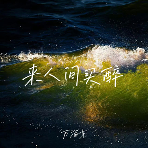 来人间买醉(我敬往事一杯酒)