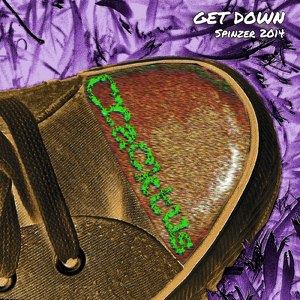 Get Down (Spinzer)