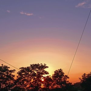 挺身而出的少年