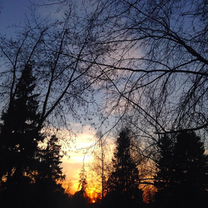 Beskonechnye Formaty Tishiny, Pt. 2